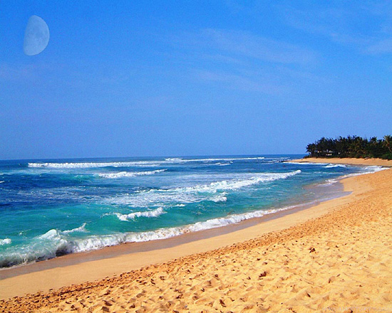 ocean pic